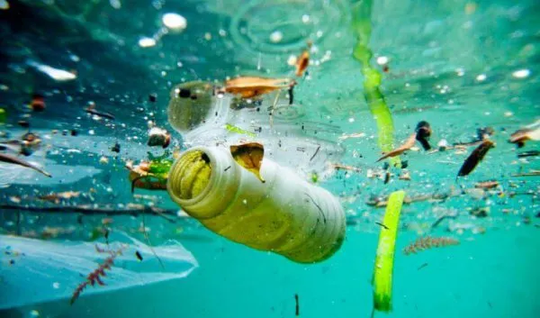 plastic water bottles floating on the sea surface